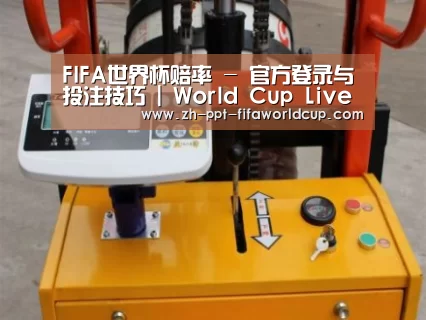 世界杯投注案例展示三