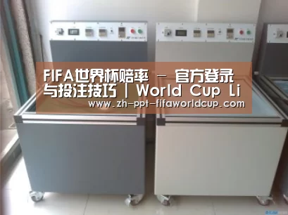 世界杯投注案例展示二