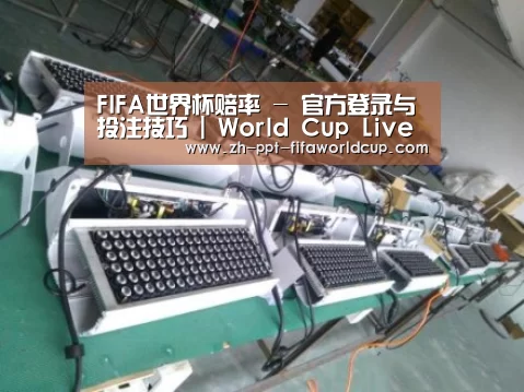 世界杯投注案例展示一
