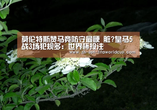 世界杯投注