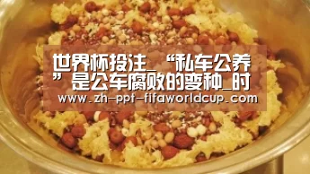 世界杯投注_“私车公养”是公车腐败的变种_时事政治_中公教育网(图1) 世界杯投注