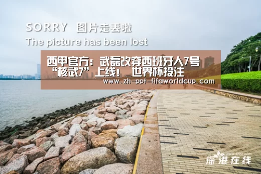 西甲官方:武磊改穿西班牙人7号 “核武7”上线!_世界杯投注(图1) 世界杯投注