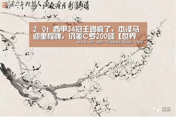 2-0!西甲34冠王踢疯了,本泽马迎里程碑,仍差C罗200球【世界杯投注】(图1) 世界杯投注
