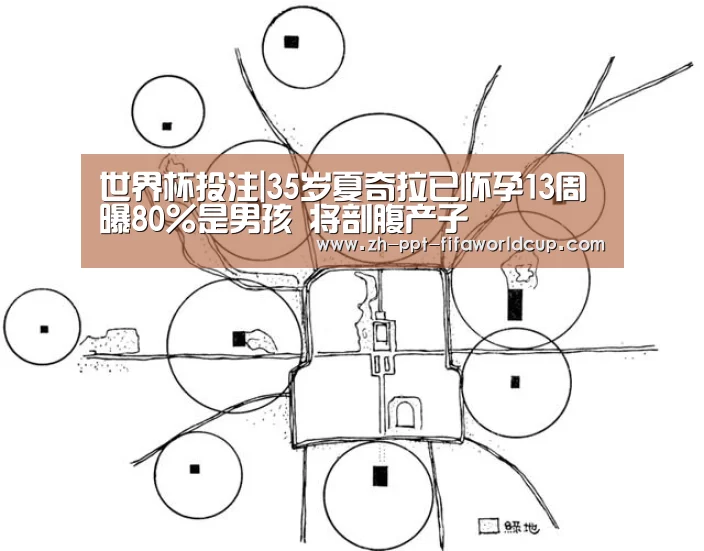 世界杯投注|35岁夏奇拉已怀孕13周曝80%是男孩 将剖腹产子(图1) 世界杯投注